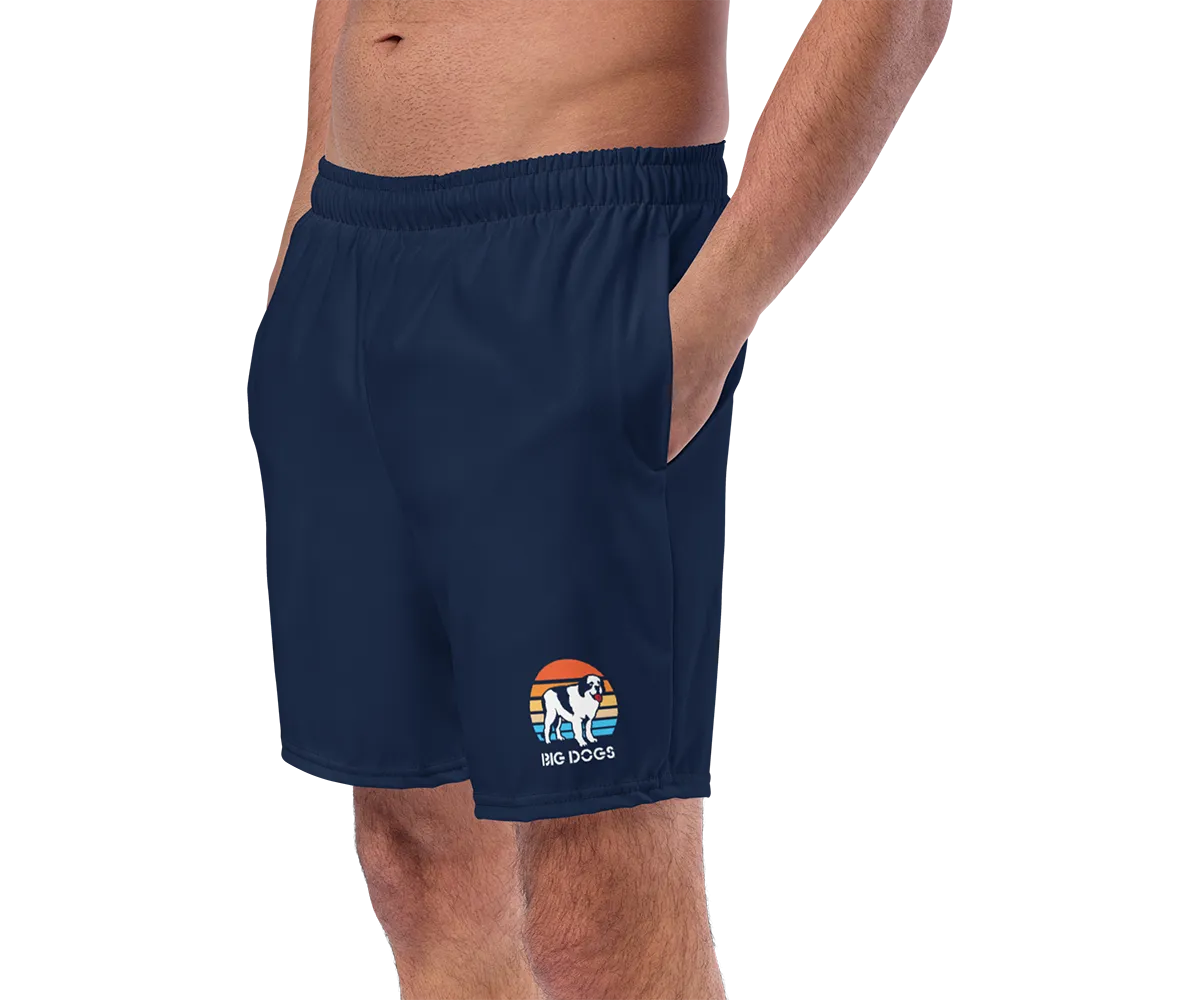 Logo Sunset Swim Trunks