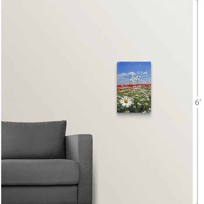 "A farmland field of white ox-eyed daisies and red poppies" Canvas Wall Art